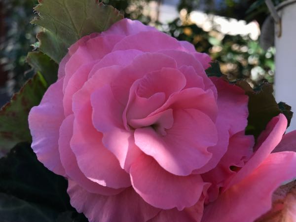 rblog-20181029111101-08.jpg