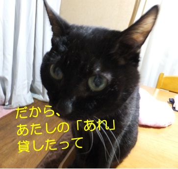 20121205_6.jpg