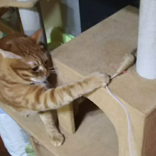 rblog-20180910222130-01.jpg