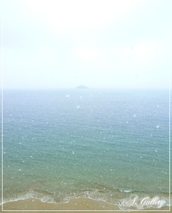 sea-rakuten.jpg