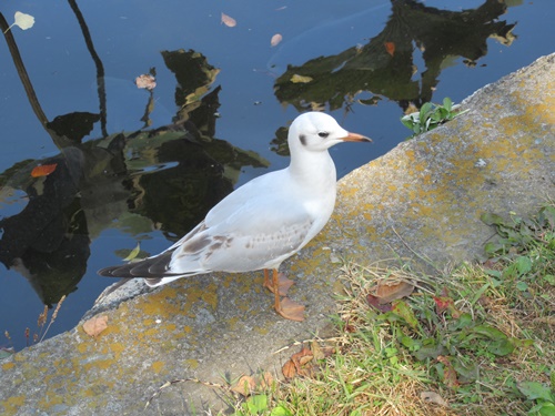 上野公園