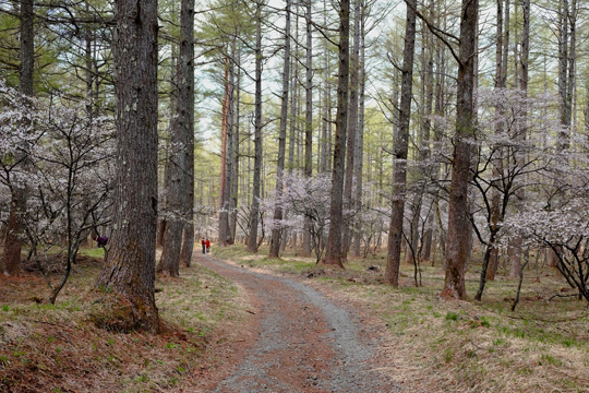 2016 04 20_3573.jpg