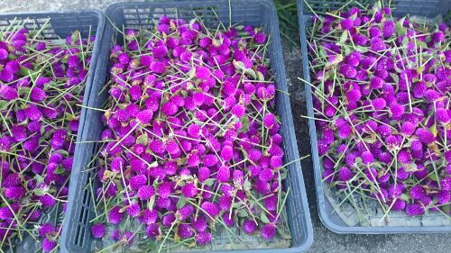rblog-20170812231921-01.jpg