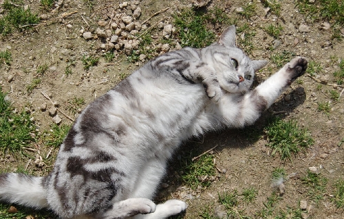 DSC_0104.JPG