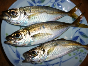 アジナイス