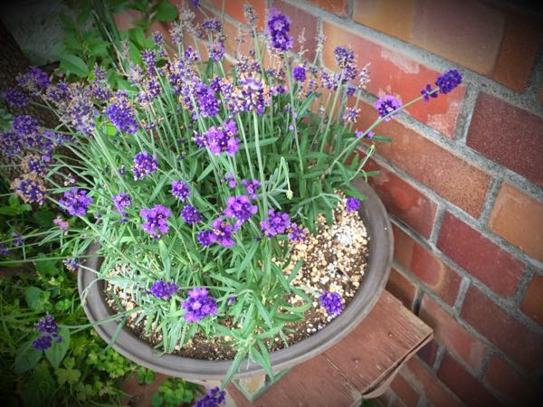 rblog-20160528224739-04.jpg