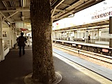 IMG_1587.JPG