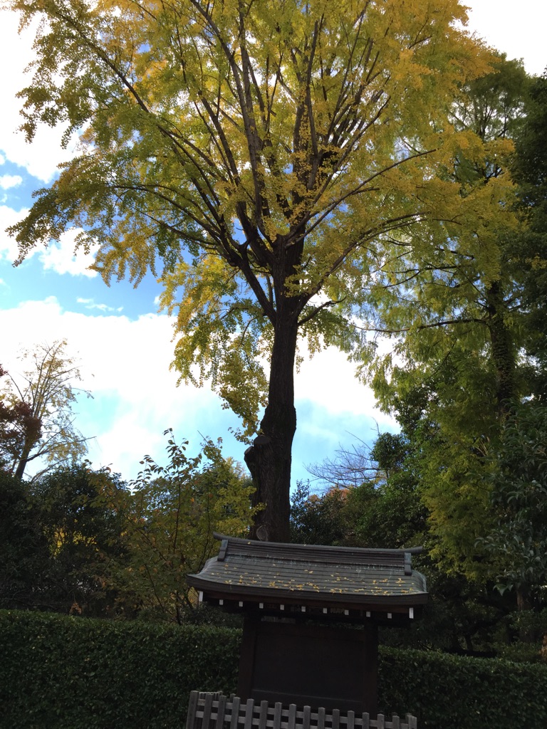 根津神社.jpg