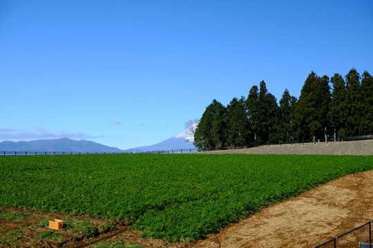 DSCF1215.jpg