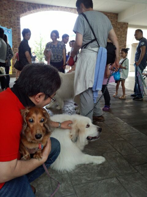 rblog-20140622151027-03.jpg