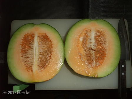 大和プリンスS 20170809