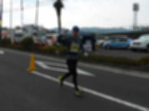 P1250803.jpg