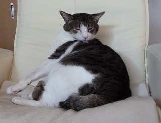 P1080640-ass.jpg