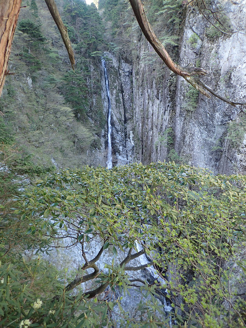 resize0058.jpg