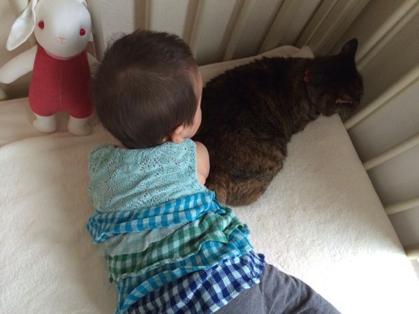 rblog-20140719095959-00.jpg