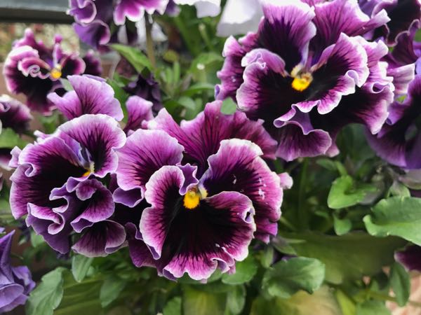 rblog-20170329182349-04.jpg