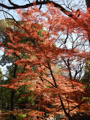 芝公園＆東京タワー