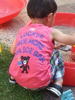 rblog-20130711223946-02.png