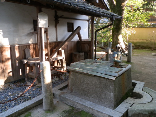 乃木神社－16.jpg