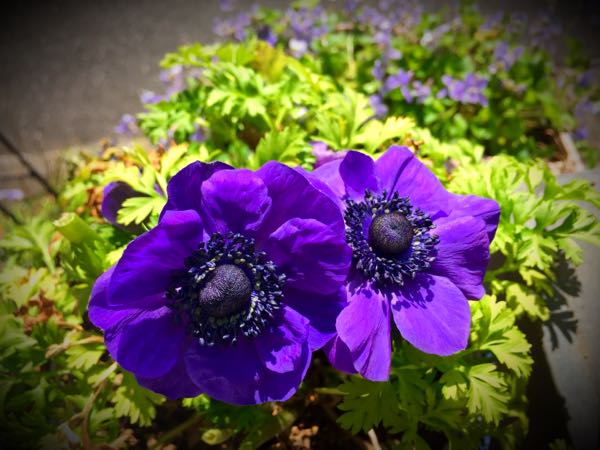 rblog-20150331200002-02.jpg