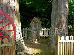 DSCN5854-w256.jpg