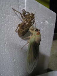 IMG_7503 縮小 - コピー.jpg