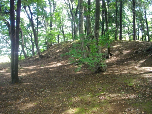 逆井城本丸土塁 (500x375).jpg