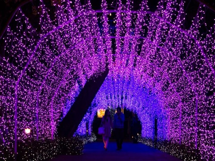 IMG_4359-720x480[1]_R.jpg