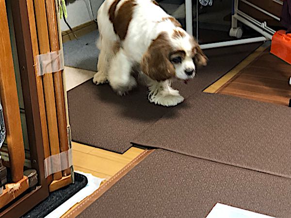 rblog-20180119205144-01.jpg