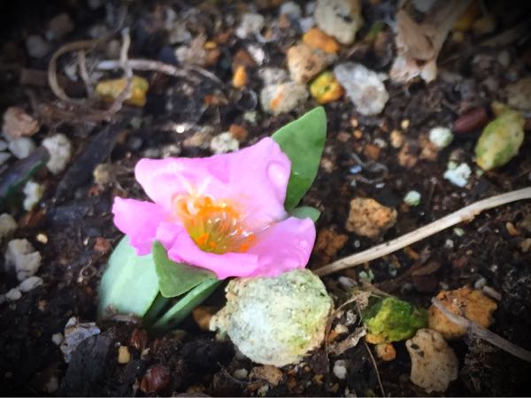 rblog-20160531194557-05.jpg