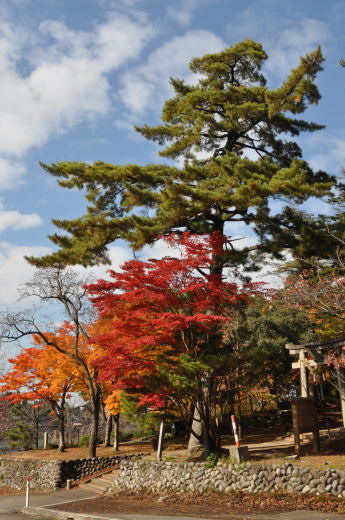 寺家公園