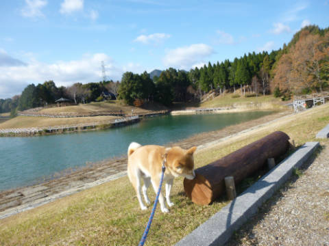 P1080594.JPG