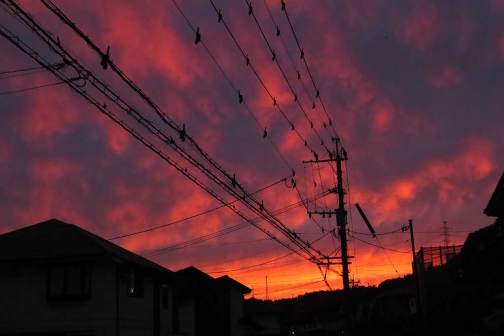515