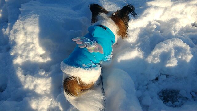 rblog-20141122060121-00.jpg