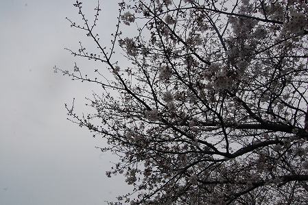 s-DSC_0486.jpg