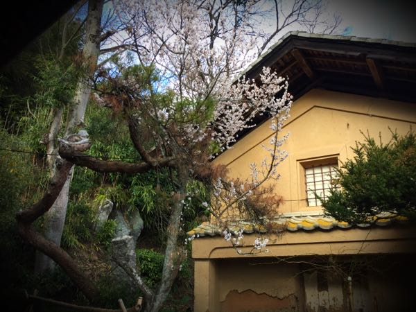 rblog-20160327163919-06.jpg