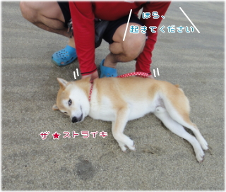 ken願い.jpg