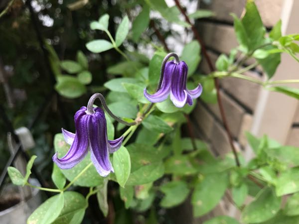 rblog-20180628165032-05.jpg