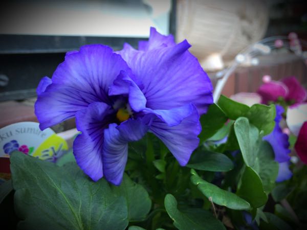 rblog-20161231164110-03.jpg