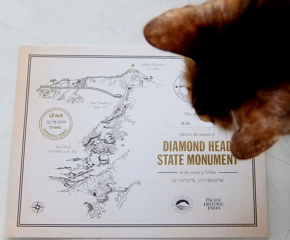 ダイヤモンドヘッド登頂証明書 割引 ジャロアロカード オーディオ 