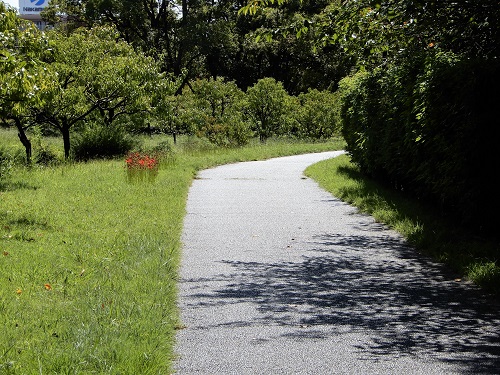 藤田邸跡公園 (3).JPG