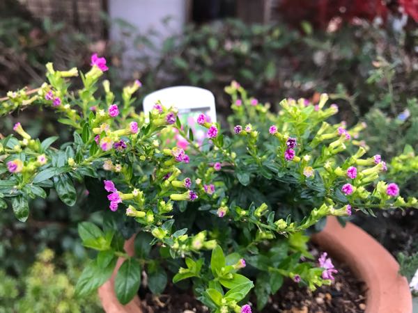 rblog-20181203160949-05.jpg