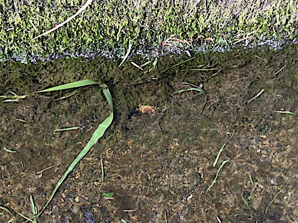 rblog-20180923230127-03.jpg