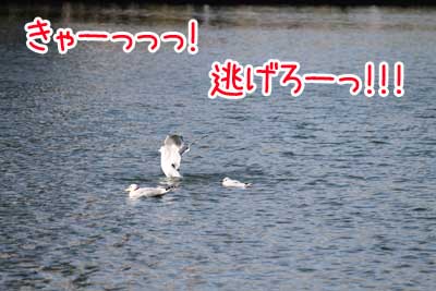 ６.JPG