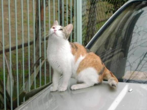 画像はイメージです