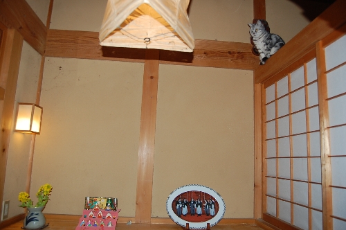 DSC_0090.JPG