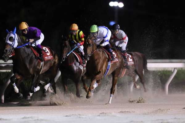 園田チャレンジカップは5着でした 赤岡修次騎手公式ブログ ～ スマイルライフ 楽天ブログ