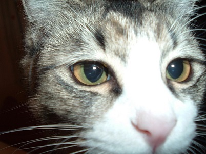 DSCF1265.JPG