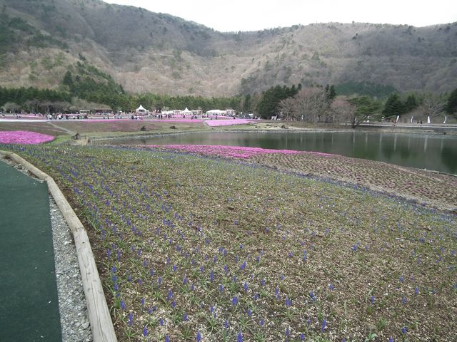 DSCF3849.JPG