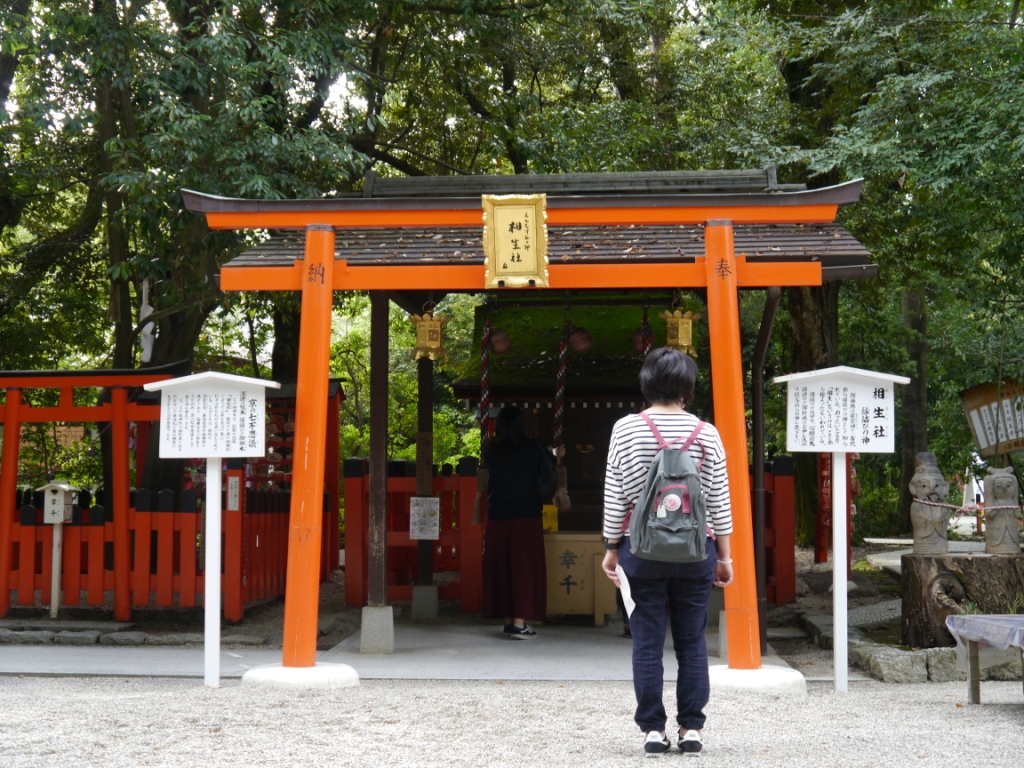 P1090091.JPG